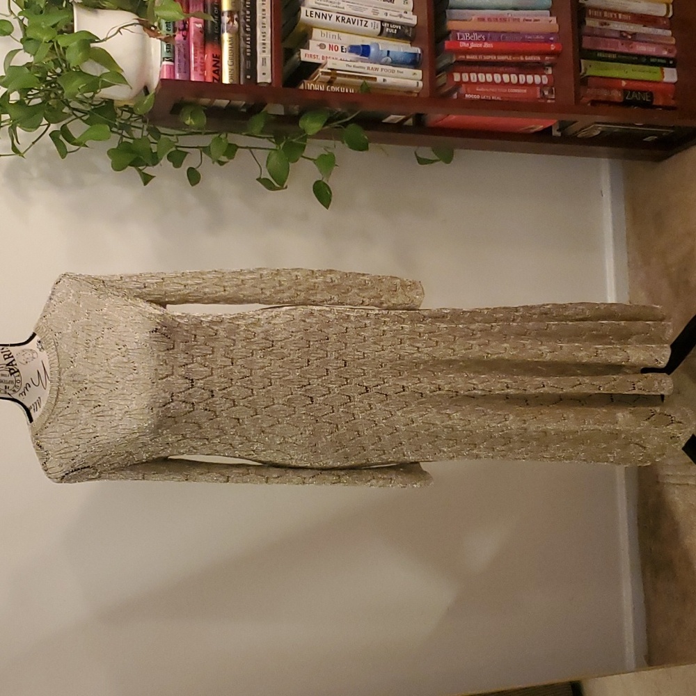 Zara metallic thread maxi dress